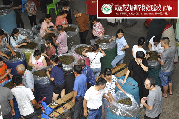 第169期：深入茶叶市场了解行情及闽北乌龙茶的加工与审评(图2)