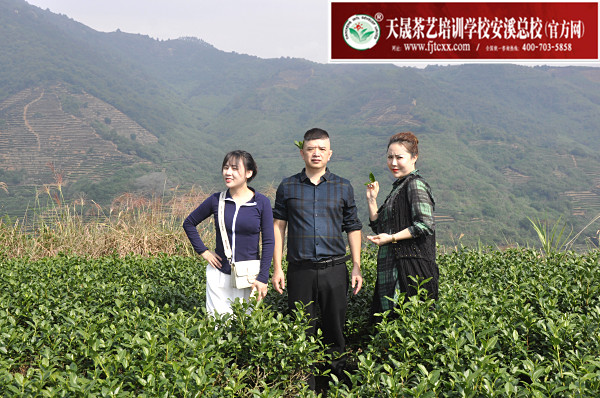 第170期：实践体验安溪乌龙茶制作(图1)