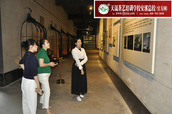 第170期：参观安溪铁观音茶史博物馆(图3)