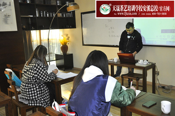 第171期：六大茶类加工与审评：茶叶的分类(图1)