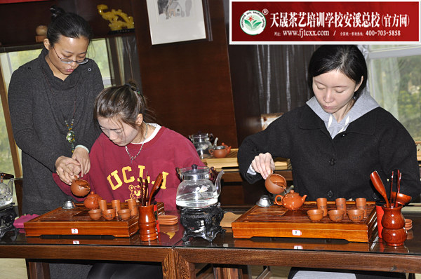 第171期：台湾十八道茶艺分段讲解与训练、茶艺坐姿训练(图3)