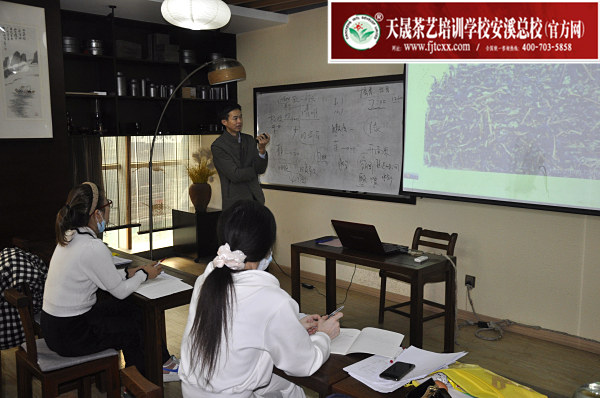 第171期：铁观音香型分类与审评(图1)