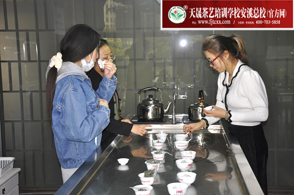 第171期：福鼎白茶的加工与审评、白茶实践审评(图3)