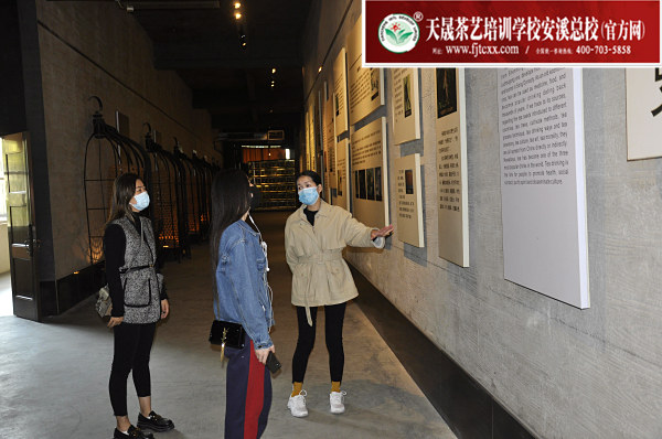 第171期：参观安溪铁观音茶史博物馆(图3)
