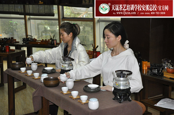 第171期：茶修之行茶十式复习(图3)