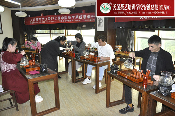 第172期：台湾十八道茶艺分段讲解与训练、茶艺坐姿训练(图2)