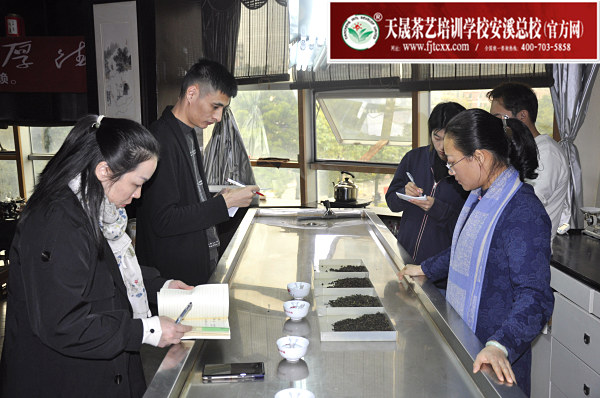 第172期：铁观音香型分类与审评(图2)