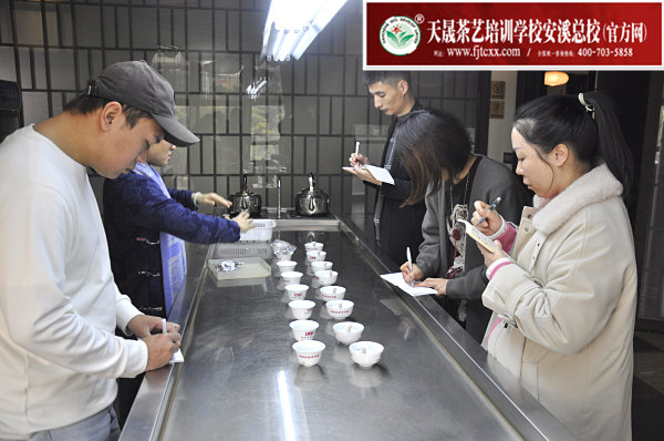 第172期：福鼎白茶的加工与审评、白茶实践审评(图2)