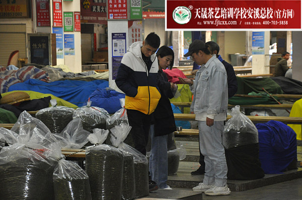 第172期：深入茶叶市场了解行情及闽北乌龙茶的加工与审评(图2)