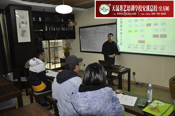 第172期：绿茶的加工与审评、绿茶实践审评(图1)