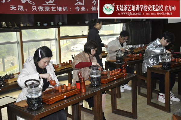 第173期：台湾十八道茶艺分段讲解与训练、茶艺坐姿训练(图3)