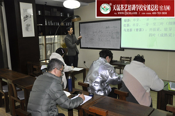 第173期：铁观音香型分类与审评(图1)