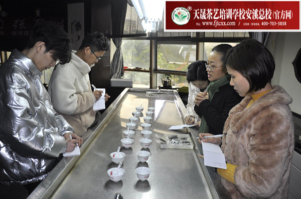 第173期：福鼎白茶的加工与审评、白茶实践审评(图2)