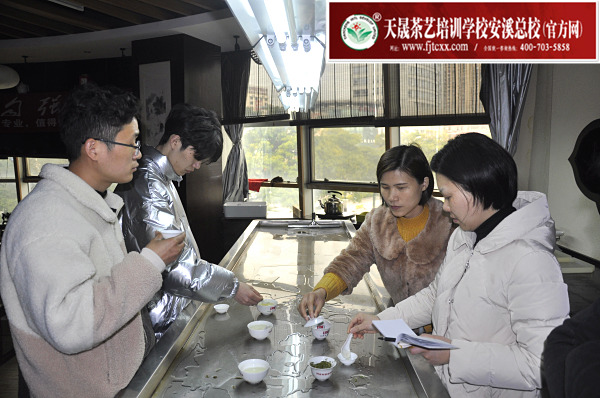 第173期：绿茶的加工与审评、绿茶实践审评(图3)