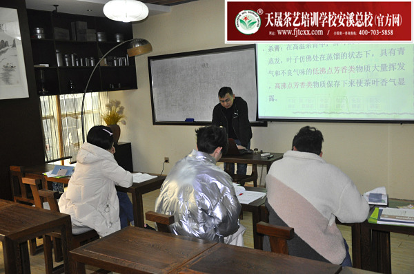 第173期：绿茶的加工与审评、绿茶实践审评(图1)