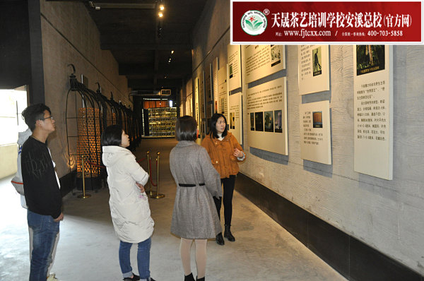 第173期：参观安溪铁观音茶史博物馆(图2)