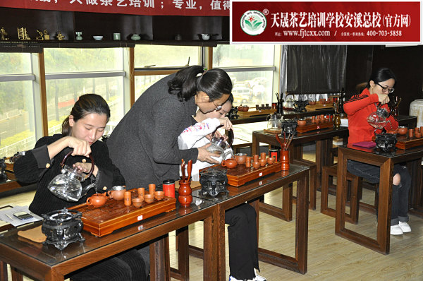 第174期：台湾十八道茶艺分段讲解与训练、茶艺坐姿训练(图2)