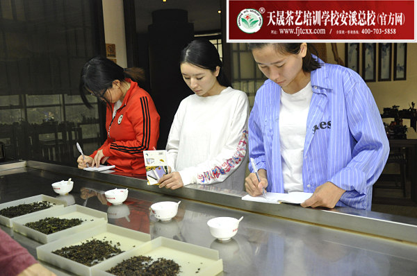 第174期：铁观音香型分类与审评(图2)