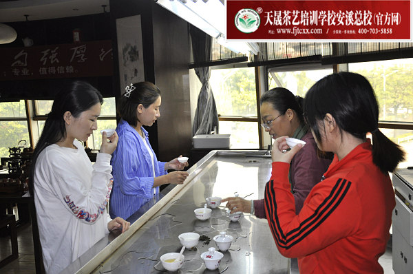 第174期：铁观音香型分类与审评(图3)