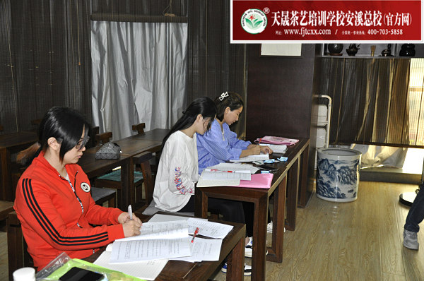 第174期：铁观音香型分类与审评(图1)