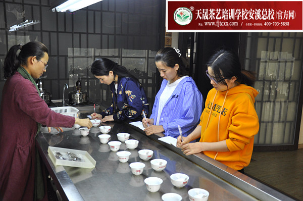 第174期：福鼎白茶的加工与审评、白茶实践审评(图2)