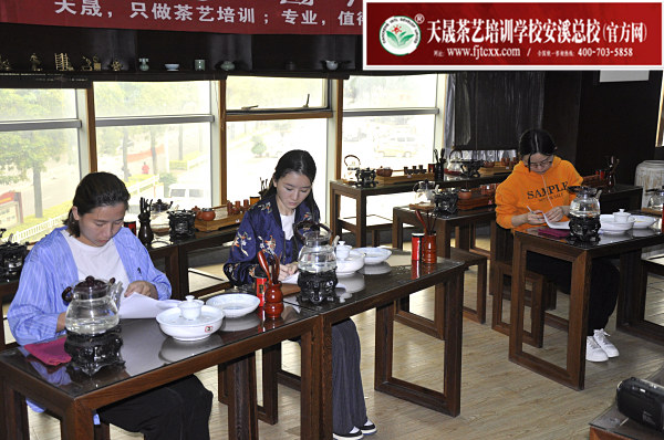 第174期：安溪茶艺之茶具展示学习(图2)