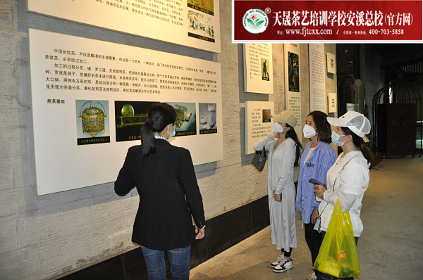 第174期：参观安溪铁观音茶史博物馆(图2)