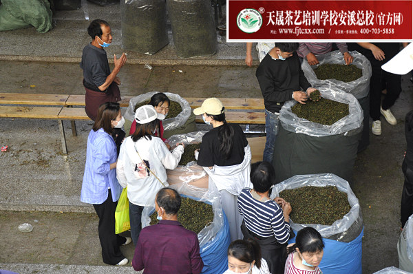 第174期：深入茶叶市场了解行情及闽北乌龙茶的加工与审评(图2)