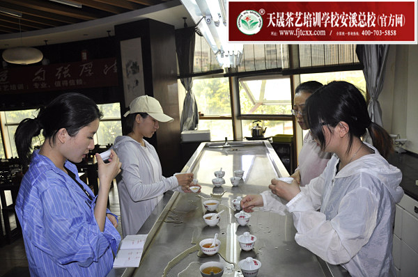 第174期：武夷岩茶的加工与审评、武夷岩茶实践审评(图2)