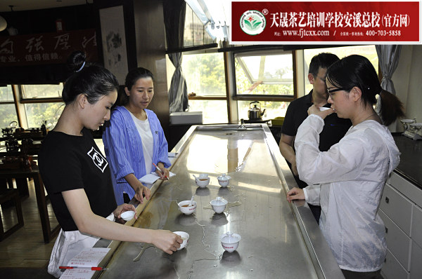 第174期：黑茶的加工与审评 黑茶实践审评(图2)