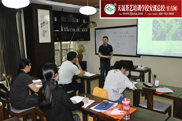 第175期：六大茶类加工与审评——茶叶的分类(图1)