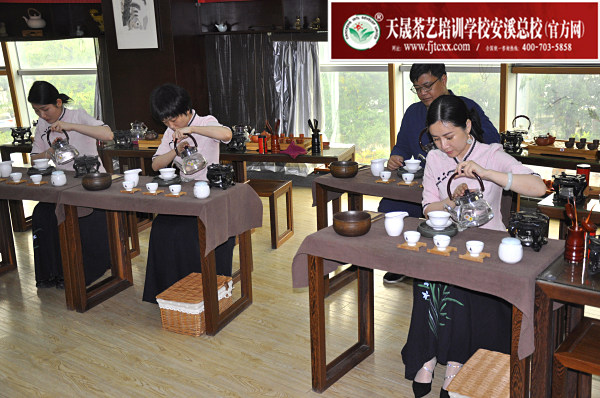 第175期：茶修之行茶十式表演考核(图1)