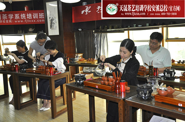 第175期：台湾十八道茶艺分段讲解与训练、茶艺坐姿训练(图2)