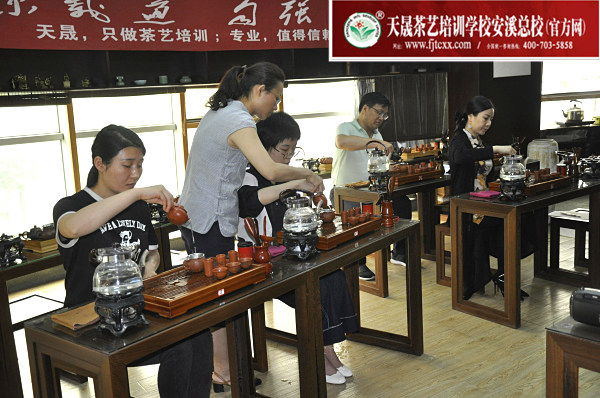 第175期：台湾十八道茶艺分段讲解与训练、茶艺坐姿训练(图3)