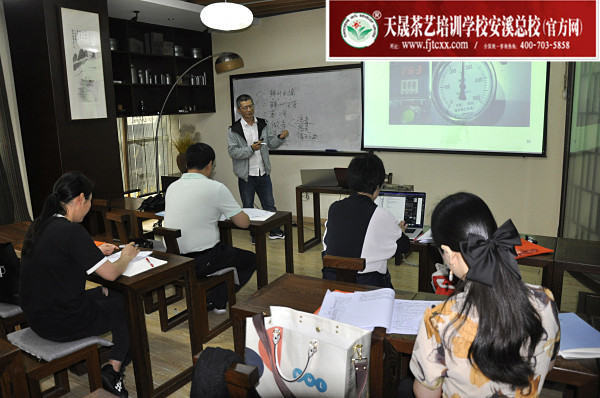 第175期：铁观音香型分类与审评(图1)