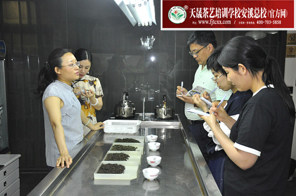 第175期：铁观音香型分类与审评(图2)