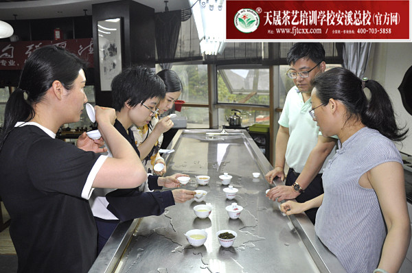 第175期：铁观音香型分类与审评(图3)