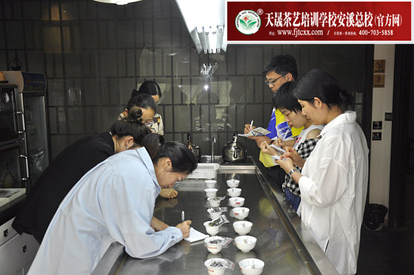 第175期：福鼎白茶的加工与审评、白茶实践审评(图2)