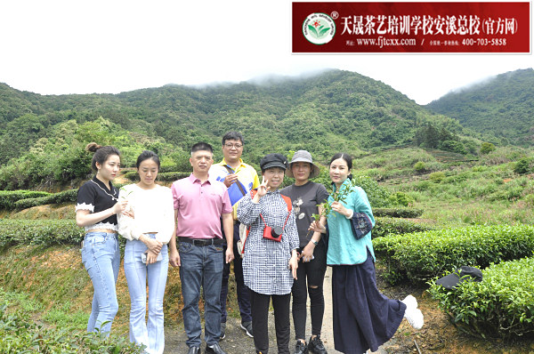 第175期：实践体验安溪乌龙茶制作(图1)