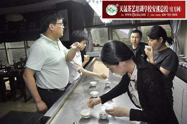 第175期：绿茶的加工与审评、绿茶实践审评(图3)