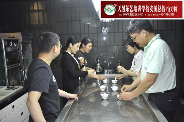 第175期：绿茶的加工与审评、绿茶实践审评(图2)