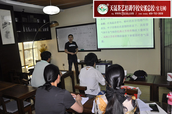 第175期：绿茶的加工与审评、绿茶实践审评(图1)