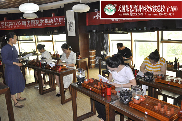 第176期：台湾十八道茶艺分段讲解与训练、茶艺坐姿训练(图1)