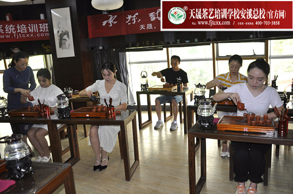 第176期：台湾十八道茶艺分段讲解与训练、茶艺坐姿训练(图3)