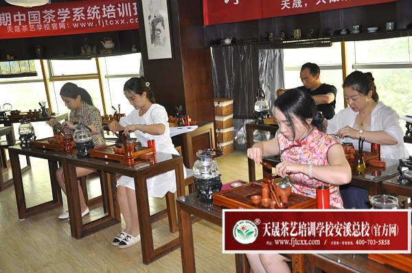 第176期：台湾十八道茶艺分段讲解与训练(图1)