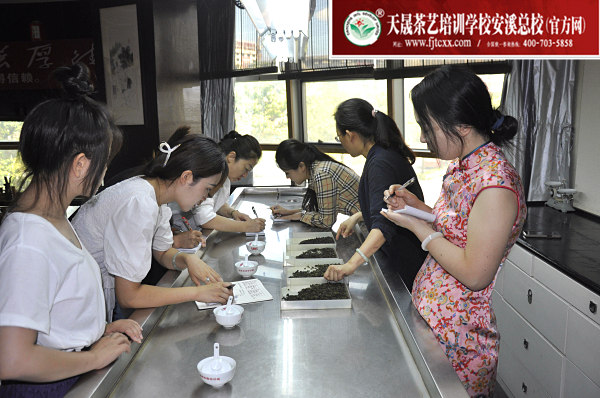 第176期：铁观音香型分类与审评(图2)