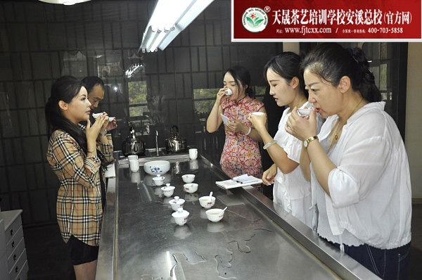 第176期：铁观音香型分类与审评(图3)