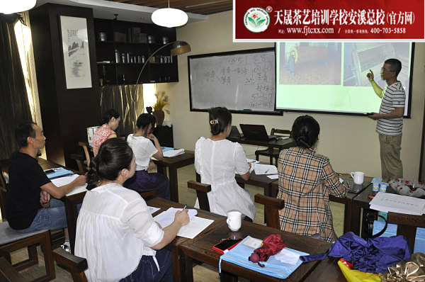 第176期：铁观音香型分类与审评(图1)