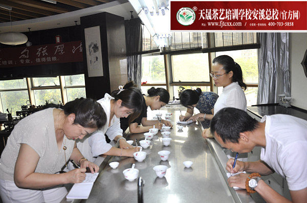 第176期：福鼎白茶的加工与审评、白茶实践审评(图2)