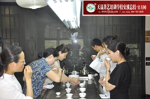 第176期：福鼎白茶的加工与审评、白茶实践审评(图3)